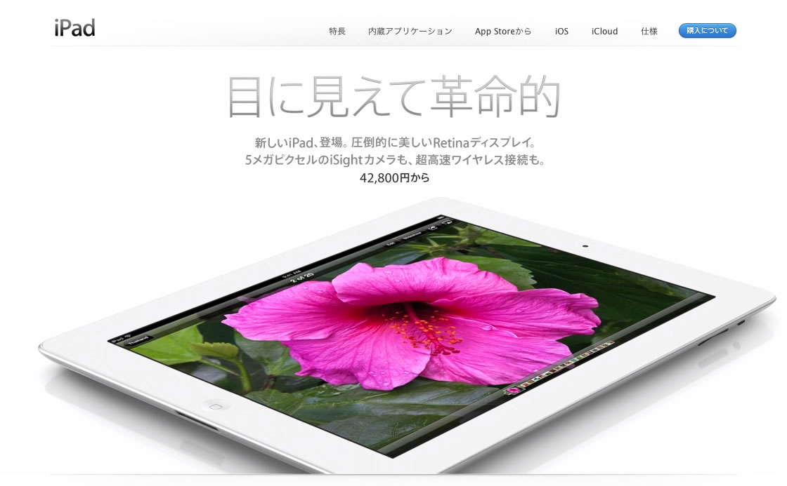 iPad